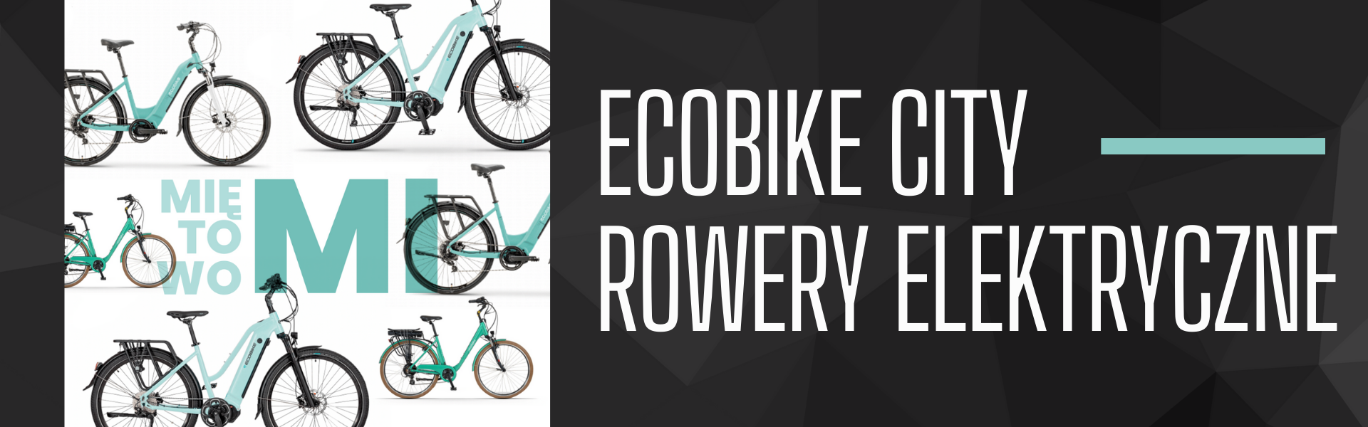 ecobike city rowery elektryczne